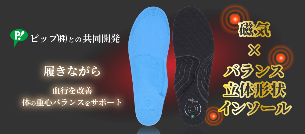 機能性インソール バランスマグサイクル